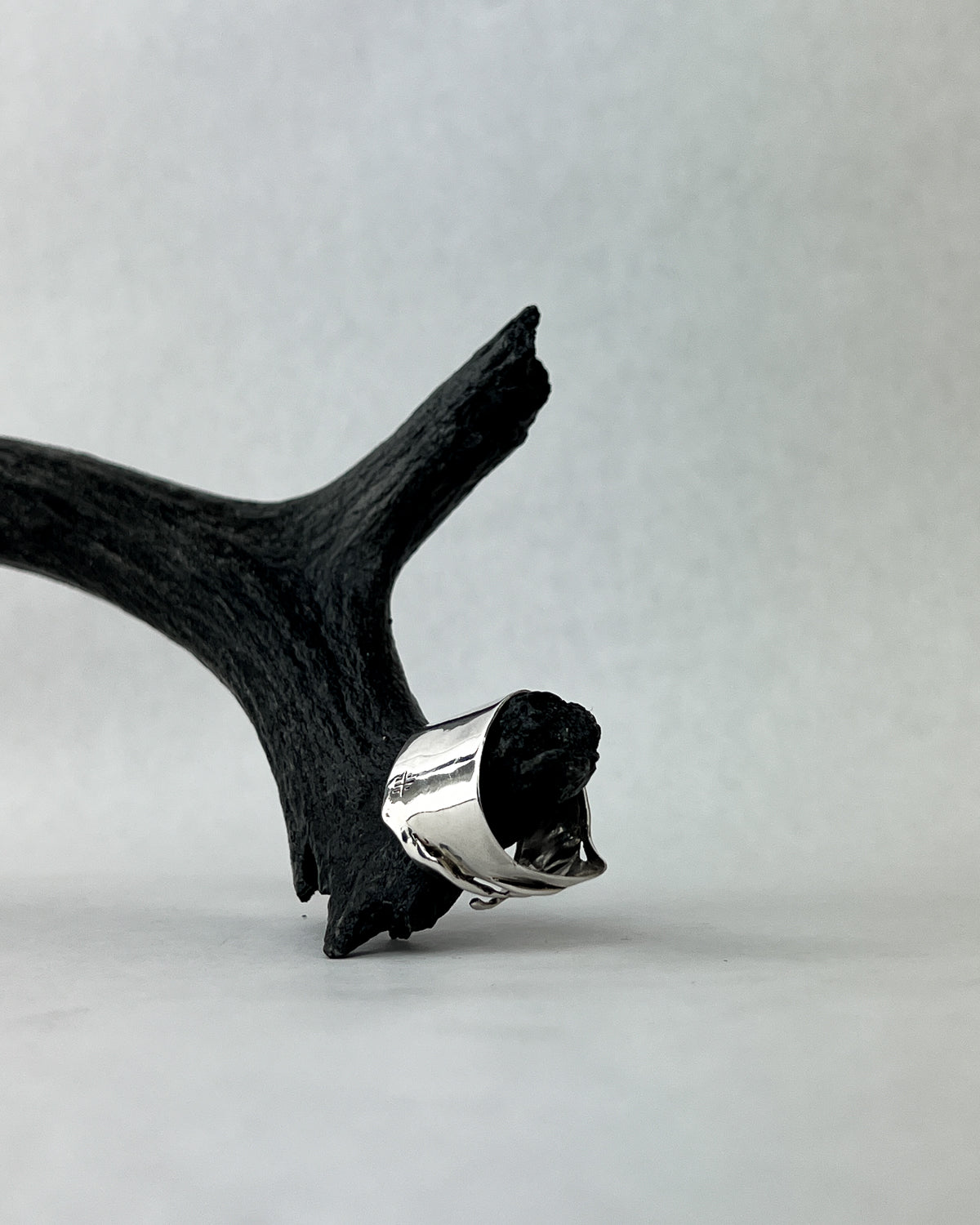 Rooted Band Ring