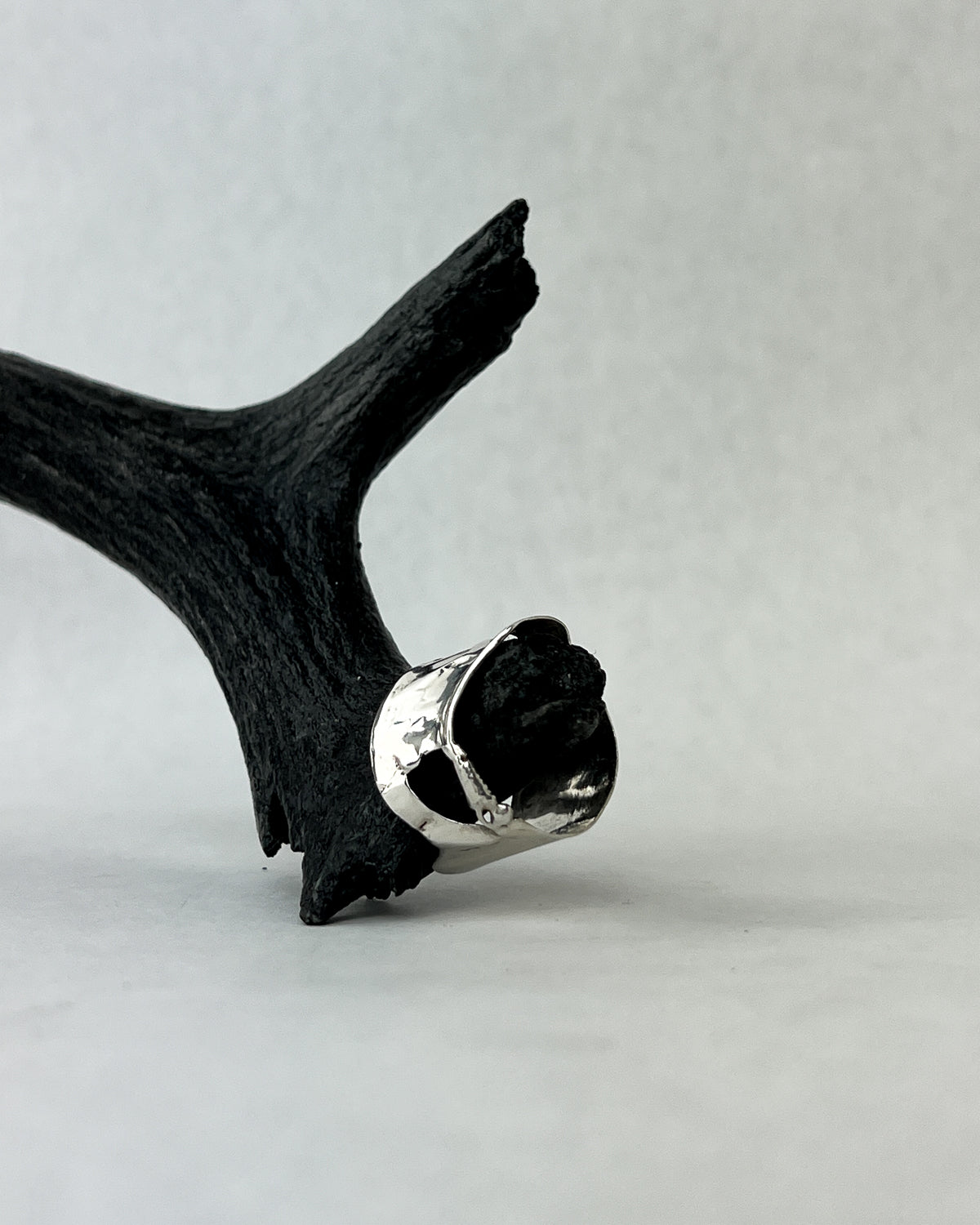 Rooted Band Ring